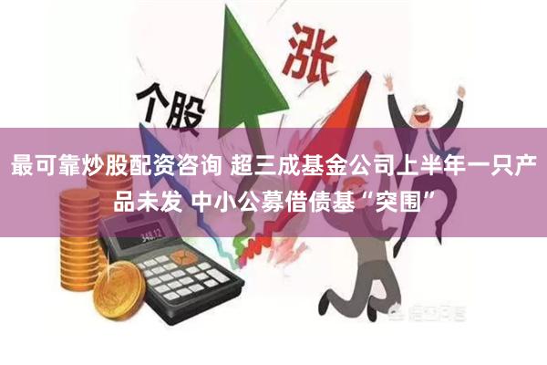 最可靠炒股配资咨询 超三成基金公司上半年一只产品未发 中小公募借债基“突围”