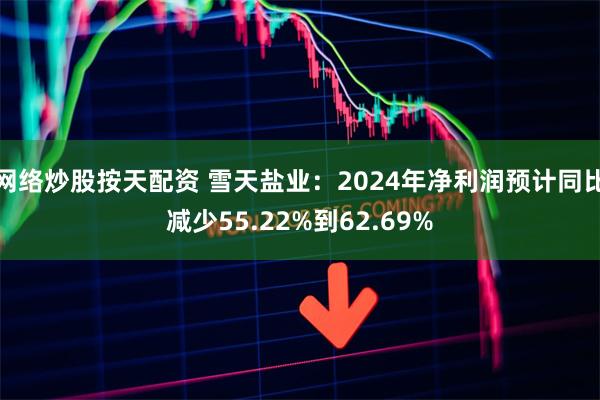 网络炒股按天配资 雪天盐业：2024年净利润预计同比减少55.22%到62.69%