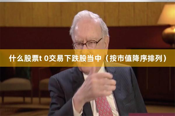 什么股票t 0交易　　下跌股当中（按市值降序排列）