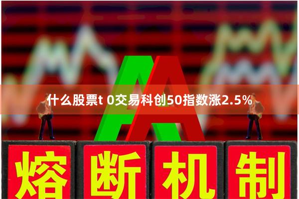 什么股票t 0交易科创50指数涨2.5%