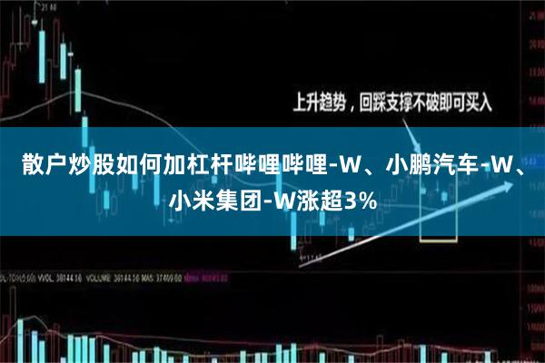散户炒股如何加杠杆哔哩哔哩-W、小鹏汽车-W、小米集团-W涨超3%
