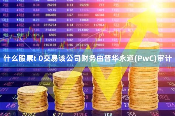 什么股票t 0交易该公司财务由普华永道(PwC)审计