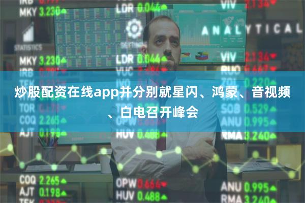 炒股配资在线app并分别就星闪、鸿蒙、音视频、白电召开峰会